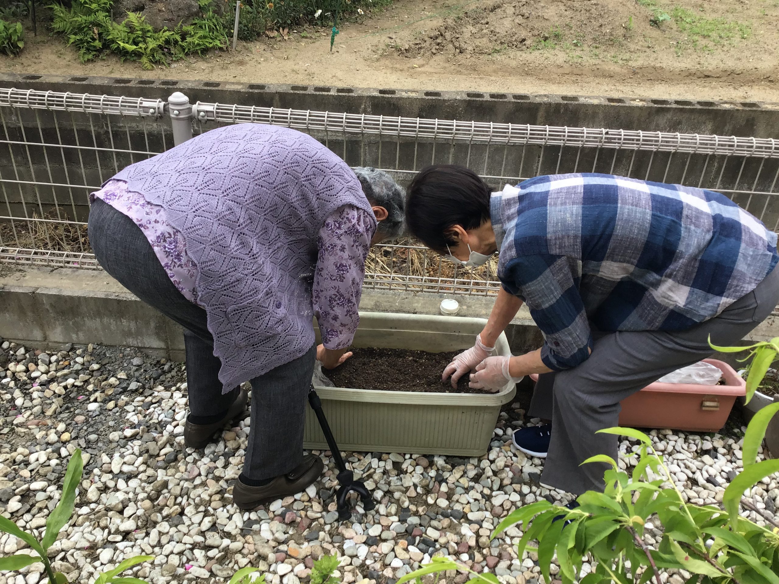 畑が出来上がりました！